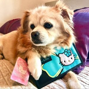 NWT Hello Kitty Wallet